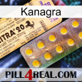 Kanagra new06